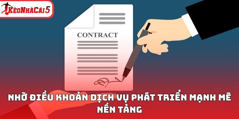 Nhờ điều khoản dịch vụ phát triển mạnh mẽ nền tảng